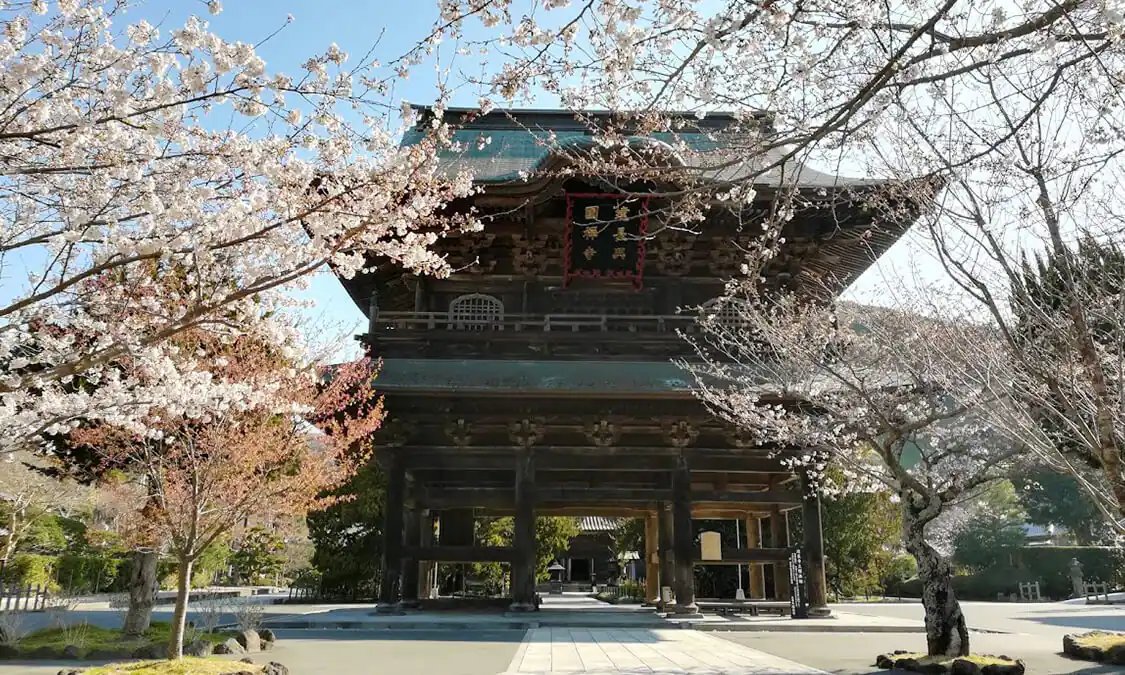 🏛️ 지카마쓰 산 겐쇼 사 (지카마쓰야마 겐쇼지) 이미지 6